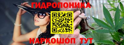 хмурый Шелехов