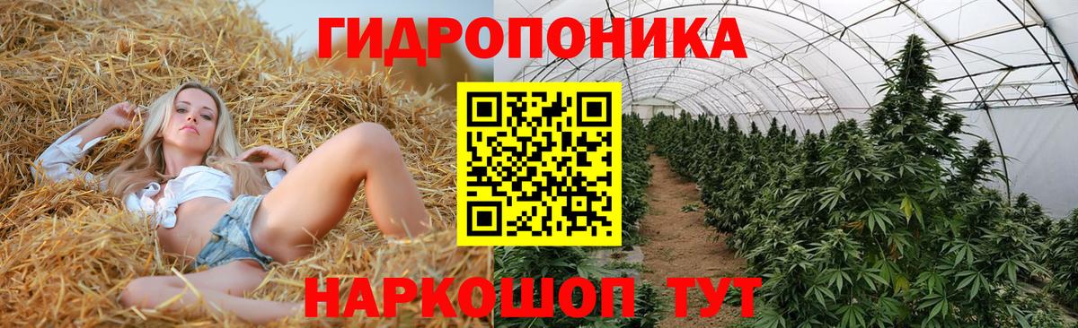 МАРИХУАНА White Widow Барнаул